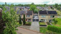 Groene Zoom-1.jpg