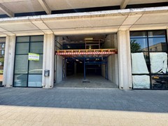 IMG_6406.JPEG