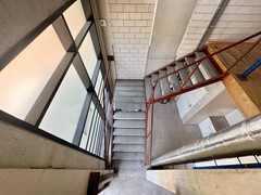 IMG_6433.JPEG