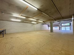 IMG_6422.JPEG