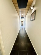 IMG_6389.JPEG