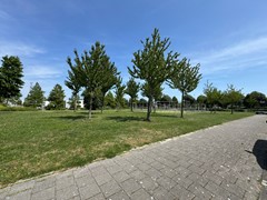 IMG_6358.JPEG