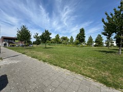 IMG_6359.JPEG