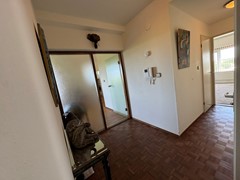 IMG_6102.JPEG