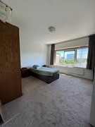 IMG_6096.JPEG