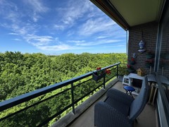 IMG_6116.JPEG