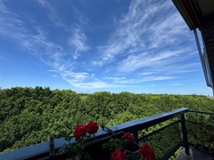 IMG_6118.JPEG