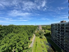 IMG_6117.JPEG