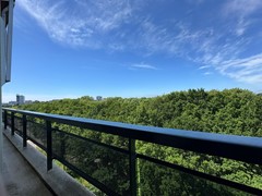 IMG_6119.JPEG