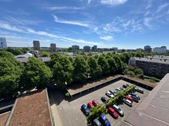 IMG_6100.JPEG