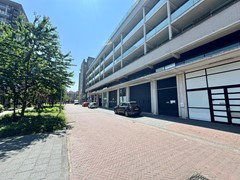 IMG_6399.JPEG