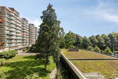 Forellendaal9242553KSsGravenhage-24.jpg