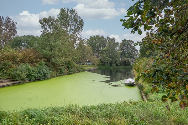 Medium property photo - Forellendaal 924, 2553 KS Den Haag
