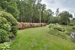 Colijnlaan_6_f172-42.jpg