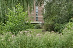 Colijnlaan_6_f172-49.jpg