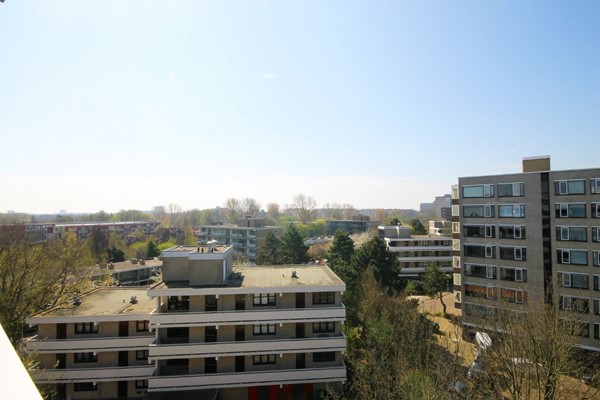 Medium property photo - Jacques Urlusstraat 147, 2551 HB Den Haag
