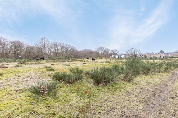 Medium property photo - De Savornin Lohmanlaan 77, 2566 AJ Den Haag