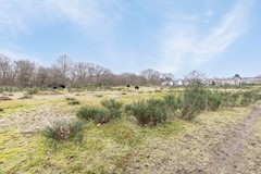 DeSavorninLohmanlaan77DenHaag49.jpg