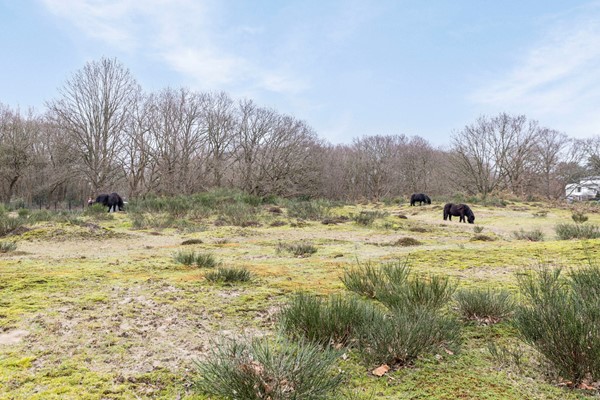 Medium property photo - De Savornin Lohmanlaan 77, 2566 AJ Den Haag