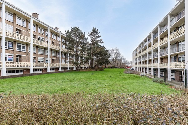 DeSavorninLohmanlaan77DenHaag04.jpg