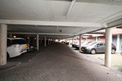 IMG_3889.JPG