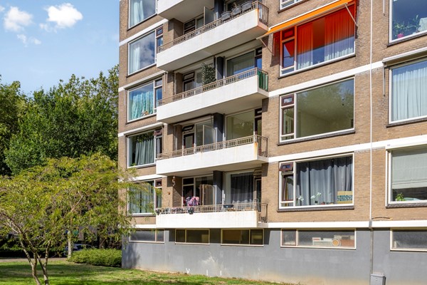 Zwedenburg2242591BLsGravenhageNL-33.jpg