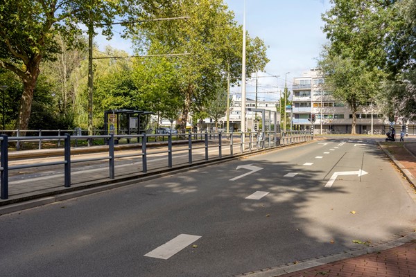 Zwedenburg2242591BLsGravenhageNL-35.jpg