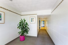 Verkocht: Ganzenstraat 204, 3815 JL Amersfoort