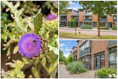 Verkocht: Duizendguldenkruid 39, 3824 NM Amersfoort