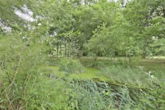 Verkocht: Trekvogelweg 61, 3815 LB Amersfoort