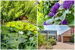 Verkocht: Kolkrijst 151, 3828 ER Hoogland