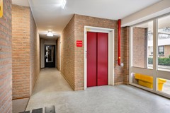 Koop: Zaaier 96, 3833 VW Leusden