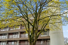 Verkocht onder voorbehoud: Hogeweg 13F, 3814CA Amersfoort
