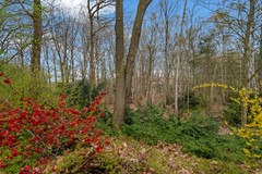 Koop: Stichtse Rotonde 5C, 3818 GV Amersfoort