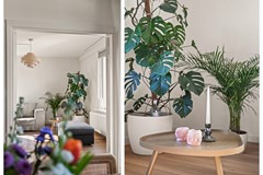 Koop: Ariaplein 110, 3816 EL Amersfoort