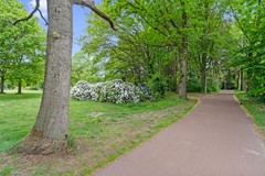 Koop: Elsenburg 11, 3813 RD Amersfoort
