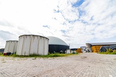 85.jpg
