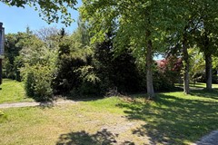 IMG_9116.JPEG