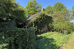 IMG_9115.JPEG