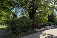 IMG_9101.JPEG