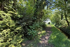 IMG_9114.JPEG