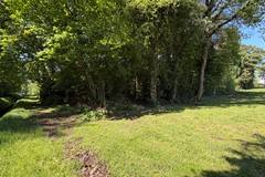 IMG_9112.JPEG