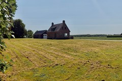 IMG_9558.JPEG