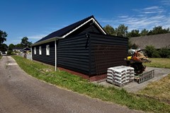 IMG_9566.JPEG