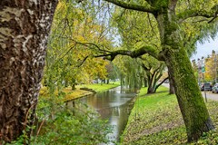 Koop: Wilgenlei 61, 3052 CB Rotterdam