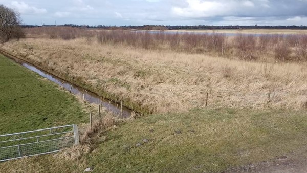 Medium property photo - Iestwei 2, 9262 VB Sumar