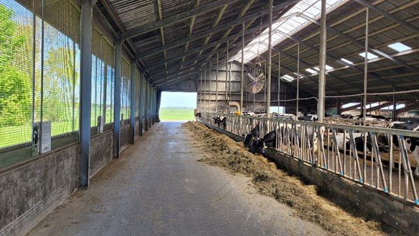 Medium property photo - Hoitebuorren 12, 8566 JE Nijemirdum