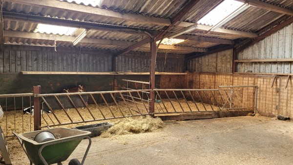 Medium property photo - Hoitebuorren 12, 8566 JE Nijemirdum