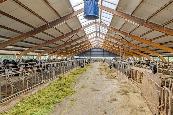 Medium property photo - Strjitwei 3, 8522 MN Tjerkgaast