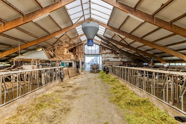 Medium property photo - Strjitwei 3, 8522 MN Tjerkgaast